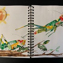 Creative Files Wide Open. Un progetto di Illustrazione tradizionale, Bozzetti, Creatività, Disegno, Pittura ad acquerello e Sketchbook di aandebiz - 03.07.2024