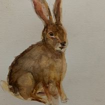 My project for course: Scientific Illustration of Animals in Watercolor . Traditional illustration, Watercolor Painting, Realistic Drawing, and Naturalistic Illustration project by Jenny Alphen - 07.07.2024