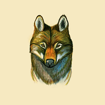 My project for course: Naturalist Animal Illustration with Procreate Ein Projekt aus dem Bereich Traditionelle Illustration, Digitale Illustration, Realistische Zeichnung, Naturalistische Illustration und Design von Saravana Kumar - 06.07.2024