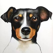 Mi proyecto del curso: Retratos de Mascotas en Lápices de Colores. Traditional illustration, and Naturalistic Illustration project by César Alberto Uribe Carmona - 10.28.2023