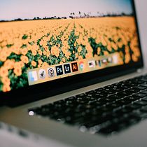 Mi proyecto del curso: Introducción a la programación con Python. Projekt z dziedziny Programowanie, Tworzenie stron internetow i ch użytkownika samueldiazhdz_ - 08.07.2024