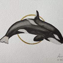 Mi proyecto del curso: Técnicas de ilustración naturalista: ballenas en acuarela. Un progetto di Belle arti, Pittura, Pittura ad acquerello, Illustrazione naturalistica e Illustrazione tradizionale di sonia_lopez_4 - 09.07.2024