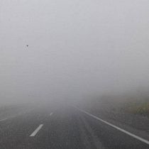 Mi proyecto del curso: Introducción a la escritura de historias de terror Ein Projekt aus dem Bereich Schrift von belerivasb - 09.07.2024