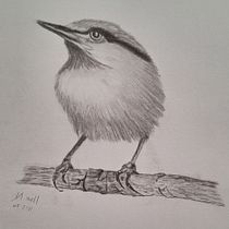 My project for course: Artistic Watercolor Techniques for Illustrating Birds. Traditional illustration, Watercolor Painting, Realistic Drawing, and Naturalistic Illustration project by Ilse Nielson - 07.11.2024