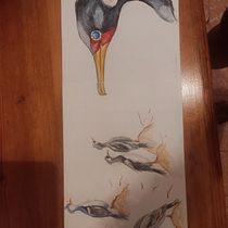 Lile chileno. Chumberas andaluzas.. Pencil Drawing, Drawing, Watercolor Painting, Sketchbook, and Naturalistic Illustration project by Laura - 07.11.2024