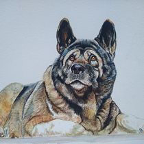 Mi proyecto del curso: Retratos expresivos de animales en acuarela. Un projet de Illustration traditionnelle, Aquarelle, Dessin réaliste et Illustration naturaliste de Beatriz Valdés - 13.07.2024