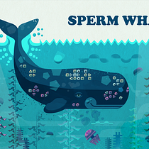 My project for course: Wildlife Illustration for Children's Books. Un progetto di Illustrazione vettoriale, Illustrazione digitale e Illustrazione infantile di gulfmell - 14.07.2024