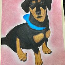 Mi proyecto del curso: Retratos de Mascotas en Lápices de Colores. Traditional illustration, and Naturalistic Illustration project by Sofia Galeano - 07.16.2024