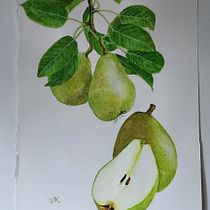 My project for course: Realistic Botanical Illustration: Escape to Nature. Painting, Watercolor Painting, Botanical Illustration, and Naturalistic Illustration project by lynnek - 08.11.2024