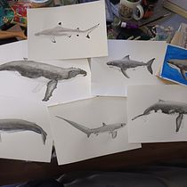 Mein Abschlussprojekt für den Kurs: Techniken der naturalistischen Illustration: Wale in Aquarell. Un progetto di Belle arti, Pittura, Pittura ad acquerello e Illustrazione naturalistica di mararion - 17.07.2024