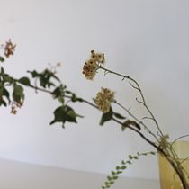 My project for course: Botanical Still Life Photography. Product Photograph, Fine-Art Photograph, Lifest, and le Photograph project by paola07_paolini - 07.21.2024