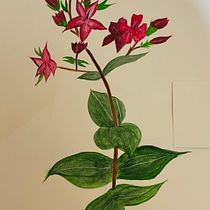 Mi proyecto del curso: Ilustración botánica con acuarela. Traditional illustration, Fine Arts, Painting, Drawing, Watercolor Painting, and Botanical Illustration project by dayesrodriguez - 07.20.2024