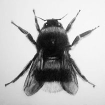 Mi proyecto del curso: Dibujo expresivo con carboncillo Ein Projekt aus dem Bereich Bildende Künste, Zeichnung, Porträtzeichnung und Naturalistische Illustration von hec_kt - 24.07.2024
