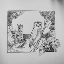 My project for course: Dip Pen and Ink Illustration: Capturing The Natural World. Sketching, Drawing, Artistic Drawing, Sketchbook, Ink Illustration, and Naturalistic Illustration project by Ursula Castaldo - 07.24.2024