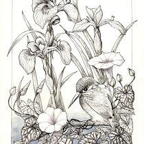 My project for course: Dip Pen and Ink Illustration: Capturing The Natural World. Sketching, Drawing, Artistic Drawing, Sketchbook, Ink Illustration, and Naturalistic Illustration project by Cher Cowan - 07.25.2024