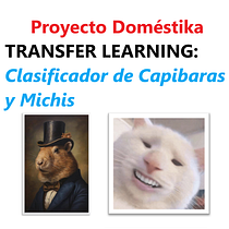 Mi proyecto del curso: Introducción a la IA con Python - Clasificación de Capibaras y Michis. Programming, Web Development, Artificial Intelligence, and AI programming project by Albert Jhonatan Quisbert Mújica - 07.24.2024