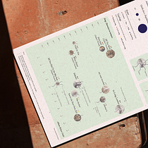 Exploring the 5th Tracks: Taylor Swift's Most Personal Songs. Un progetto di Design dell’informazione, Infografica e Design interattivo di Mariano Bianchino - 30.07.2024