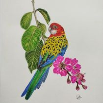 Meu projeto do curso. Un proyecto de Bellas Artes, Dibujo a lápiz, Dibujo, Pintura a la acuarela, Dibujo realista e Ilustración naturalista				 de Priscila Marques - 20.07.2024