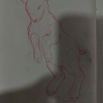 Mi proyecto del curso: Dibujo a lápiz de animales realistas para cuentos Ein Projekt aus dem Bereich Design von Figuren, Bleistiftzeichnung, Zeichnung und Kinderillustration von Zharik Barrios Ripoll - 02.08.2024
