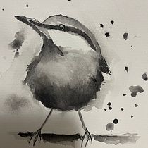 My project for course: Artistic Watercolor Techniques for Illustrating Birds. Traditional illustration, Watercolor Painting, Realistic Drawing, and Naturalistic Illustration project by S Karinsen - 07.27.2024