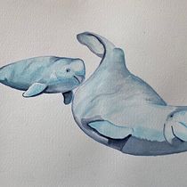Mi proyecto del curso: Técnicas de ilustración naturalista: ballenas en acuarela. Un progetto di Belle arti, Pittura, Pittura ad acquerello e Illustrazione naturalistica di lorena_mestreh - 23.07.2024