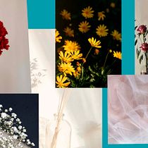 Meu projeto do curso: Fotografia botânica still life. Product Photograph, Fine-Art Photograph, Lifest, and le Photograph project by crizgabi - 07.29.2024