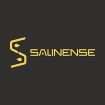 Projeto Identidade Visual : Salinense. Un projet de Design , Br, ing et identité, Création de logos, Conception numérique , et Design de papeterie de João Pedro Donda - 29.07.2024