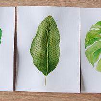 Mój projekt z kursu: Nadruki botaniczne techniką akwareli. Projekt z dziedziny Trad, c, jna ilustracja, Pattern design, Malowanie akwarelą, R i sunek botaniczn użytkownika Magdalena G-W - 30.07.2024