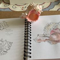 Mi proyecto del curso: Cuaderno ilustrado: registra la naturaleza. Pencil Drawing, Drawing, Watercolor Painting, Sketchbook, and Naturalistic Illustration project by M.Belen - 07.30.2024