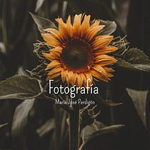 Mi proyecto del curso: Canva de 0 a 100: crea diseños de forma profesional. Graphic Design, and Photograph project by María José Perdigón Sastoque - 07.28.2024