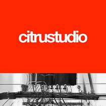 Meu projeto do curso: CitruStudio, Estúdio Criativo. Un projet de Design , Br, ing et identité, Création de logos, Conception numérique , et Design de papeterie de designerlince - 29.07.2024