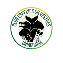 Mi proyecto del curso: Canva de 0 a 100: crea diseños de forma profesional. Br, ing, Identit, Graphic Design, Web Design, and Social Media Design project by Fabian Esteban Olea Rueda - 08.31.2024
