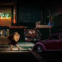 Mi proyecto del curso: Secretos del fotomontaje y el retoque creativo. Photograph, Photograph, Post-production, VFX, Photo Retouching, Fine-Art Photograph, Photographic Composition, and Photomontage project by Michel Gonzalez - 08.01.2024