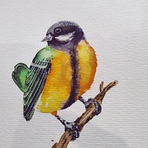 Mi proyecto del curso: Ilustración naturalista de aves con acuarela. Ilustração tradicional, Pintura em aquarela, Desenho realista e Ilustração naturalista projeto de orlandojhzc - 02.08.2024
