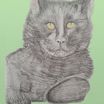 Mi proyecto del curso: Dibujo a lápiz de animales realistas para cuentos Ein Projekt aus dem Bereich Design von Figuren, Bleistiftzeichnung, Zeichnung und Kinderillustration von Gladys Mercedes Figuera Donatti - 03.08.2024