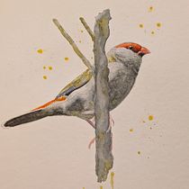 My project for course: Artistic Watercolor Techniques for Illustrating Birds. Traditional illustration, Watercolor Painting, Realistic Drawing, and Naturalistic Illustration project by Zoe - 08.04.2024
