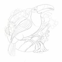  Terlaque ave de nariño. Traditional illustration, and Digital Illustration project by Ernesto Maya - 08.07.2024