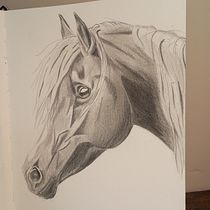Mon projet du cours : Images réalistes de la faune au crayon graphite. Un projet de Beaux Arts, Dessin au cra, on, Dessin, Dessin réaliste et Illustration naturaliste de Valérie SCHULER - 08.08.2024