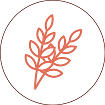 Mi proyecto del curso: Creación de un logotipo original desde cero. Un projet de Design , Br, ing et identité, Design graphique , et Création de logos de Cristopher Torres Matute - 09.08.2024