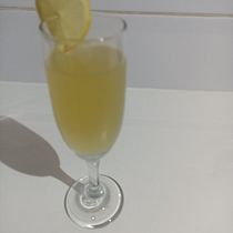 Mi proyecto del curso: Introduction to Cocktails and Mixology. Bebidas projeto de franciscadaniela_pacheco - 14.08.2024