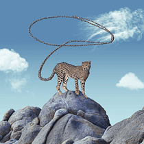 cheetah cowboy. Photograph, Collage, Photo Retouching, Digital Illustration, Photographic Composition, and Photomontage project by vblouwe - 08.15.2024