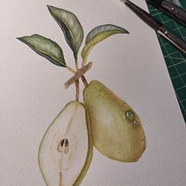 Mi proyecto del curso: Ilustración botánica realista: conecta con la naturaleza. Painting, Watercolor Painting, Botanical Illustration, and Naturalistic Illustration project by wondersisu - 11.17.2024