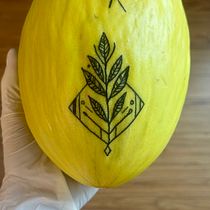 JK’s Project : Naturalist Tattoo: From Lines to Skin. Traditional illustration, Drawing, Tattoo Design, Botanical Illustration, and Naturalistic Illustration project by Jessy-Kate Fournier - 08.14.2024