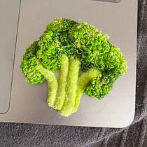 Mon projet du cours : Broderie en 3D avec les techniques d'aiguille perforante . Projekt z dziedziny  Haft,  Tkactwo,  Haft pętelkow, Wzornictwo tekst i liów użytkownika Aline Huet - 18.08.2024