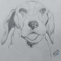 Mi proyecto del curso: Dibujo naturalista de animales con grafito. Traditional illustration, Pencil Drawing, Drawing, and Naturalistic Illustration project by Noemi Vazquez - 08.22.2024