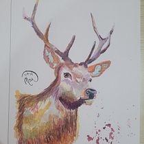 Mi proyecto del curso: Retratos expresivos de animales en acuarela. Un projet de Illustration traditionnelle, Aquarelle, Dessin réaliste et Illustration naturaliste de licanleu728 - 25.08.2024