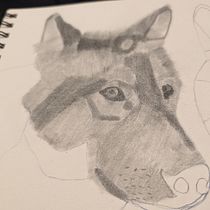 My project for course: Realistic Wildlife Images in Graphite Pencil. Un projet de Dessin au cra, on, Beaux Arts, Dessin, Dessin réaliste et Illustration naturaliste de now-lift-0a - 25.08.2024