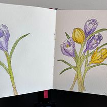 My project for course: Illustrating Nature with Watercolor and Pen. Traditional illustration, Fine Arts, Painting, Drawing, Watercolor Painting, and Botanical Illustration project by Deb Thompson - 09.01.2024