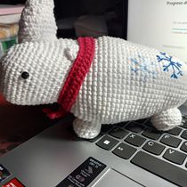 Mi proyecto del curso: Diseño y creación de amigurumis. Projekt z dziedziny Craft, Projektowanie zabawek, DIY,  Tkactwo, Sz, dełkowanie, Amigurumi, Wzornictwo tekst i liów użytkownika Victoria Segura - 02.09.2024