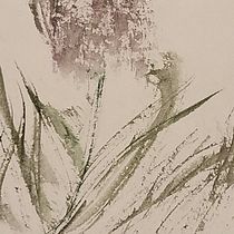 My project for course: Sumi-e Painting with Color for Floral Illustrations. Un progetto di Illustrazione botanica, Illustrazione tradizionale, Illustrazione con inchiostro, Belle arti e Pittura di Connor Jacobs - 16.08.2023